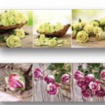 Set 3 canvas/c nature 25×25