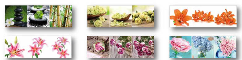 Set 3 canvas/c nature 25×25