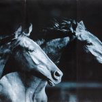 Set 3 canvas 30×60 two horses