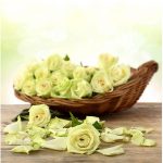 Set 3 canvas 25×25 roses