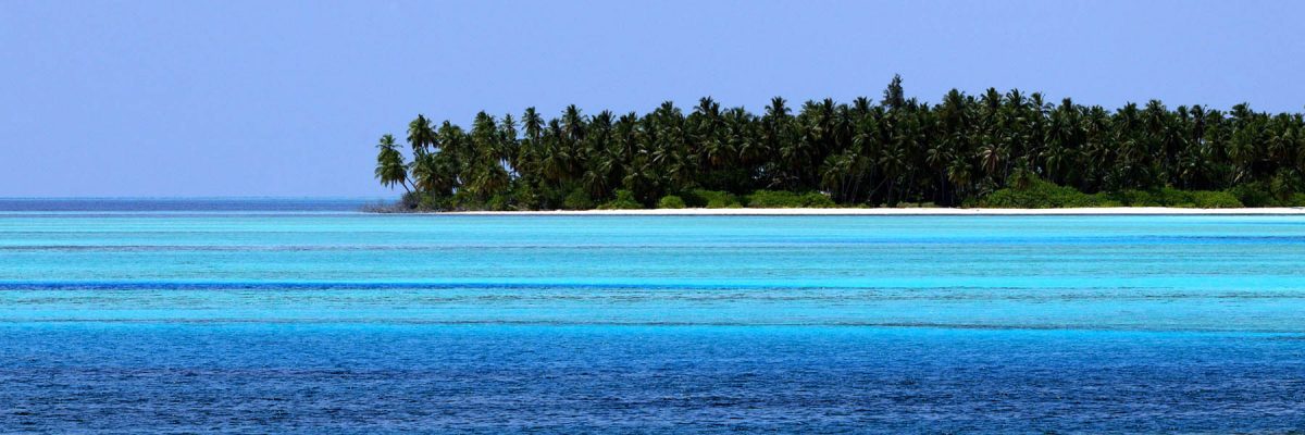 Canvas 50×150 island