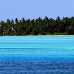 Canvas 50×150 island