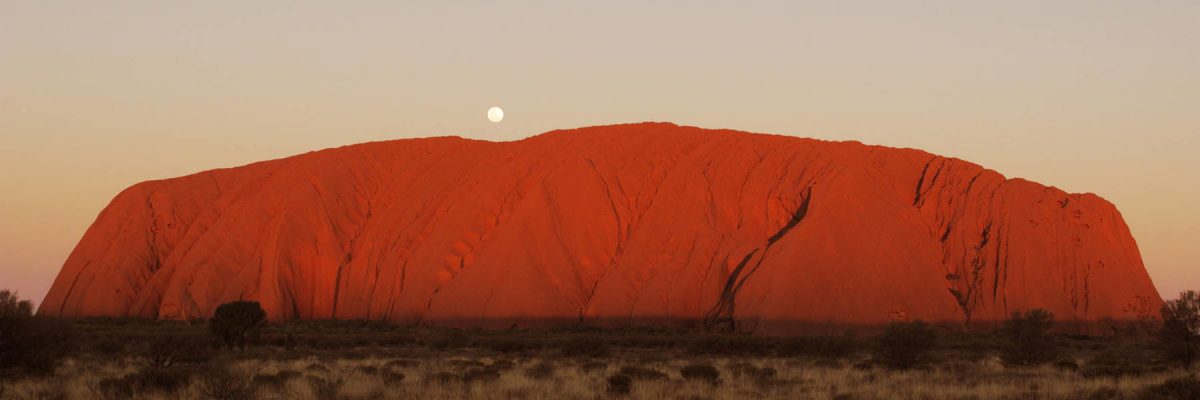 Canvas 50×150 australia