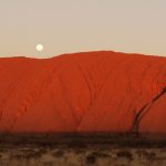 Canvas 50×150 australia