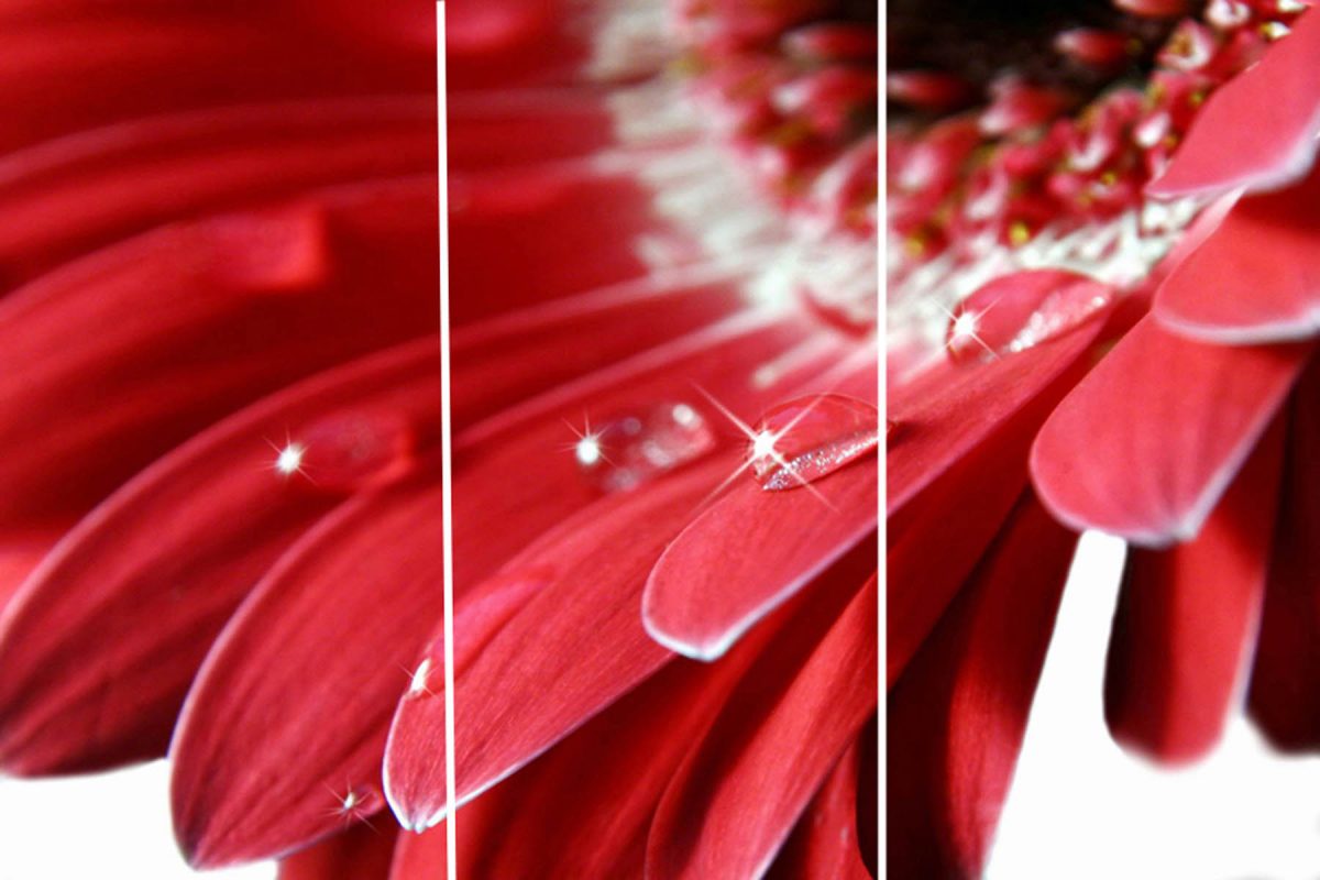 Set 3 canvas 30×60 red flower