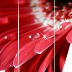 Set 3 canvas 30×60 red flower