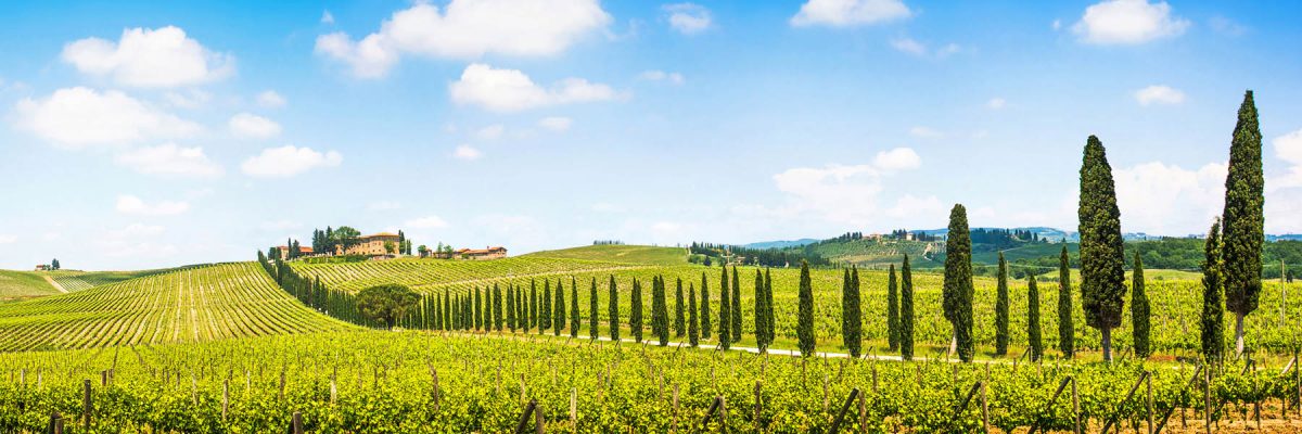 Canvas 50×150 tuscany view