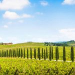 Canvas 50×150 tuscany view