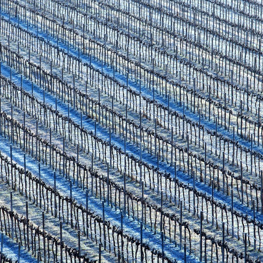 Glossy/fg03 100×100 blue vineyard