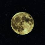 Canvas 0201 40×40 moon