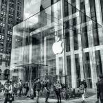 Canvas 0203 40×40 apple ny
