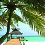 Canvas 0206 40×40 beach