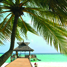 Canvas 0206 40×40 beach
