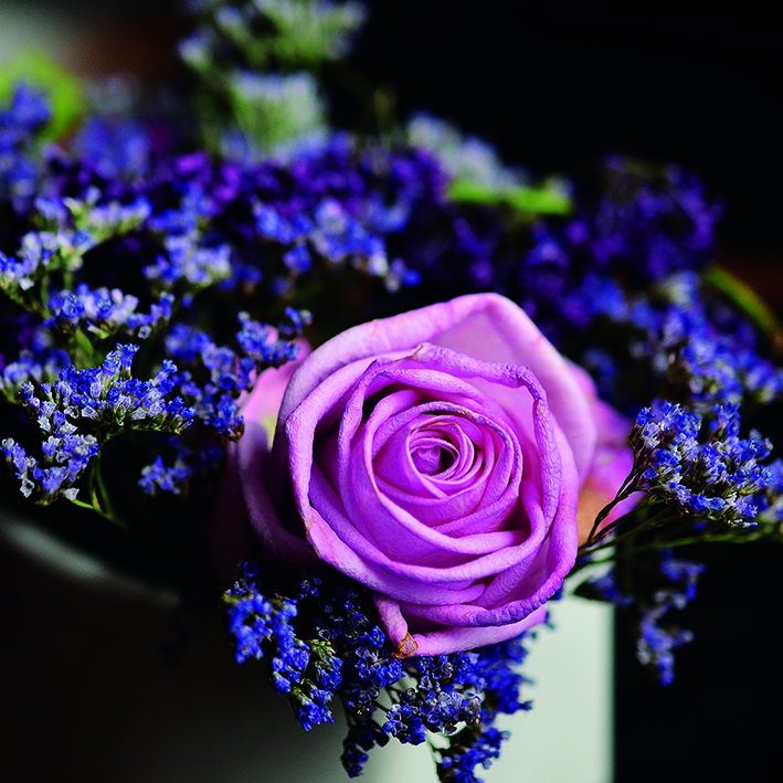Canvas 0225 40×40 pink rose 2