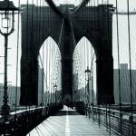 Canvas 0232 50×100 brooklyn