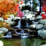 Canvas 0236 50×100 water fall