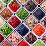 Canvas 0241 50×100 spices
