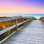 Canvas 0249 50×100 walk