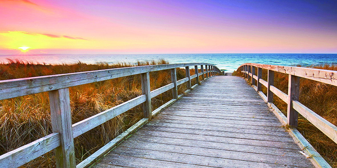 Canvas 0249 50×100 walk