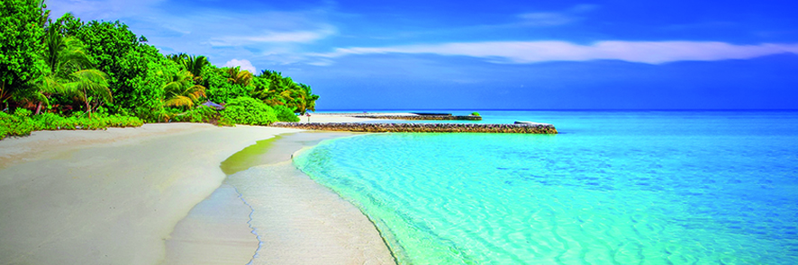 Canvas 0254 50×150 beach pier