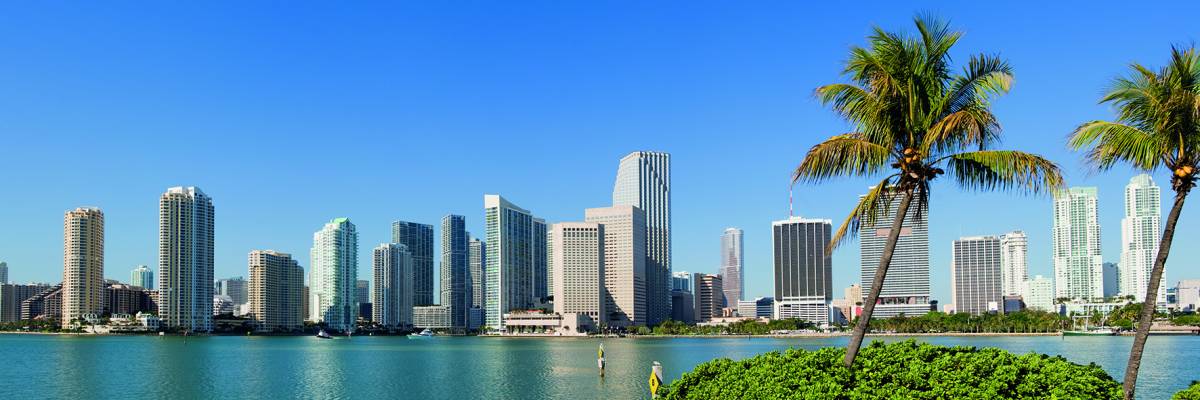 Canvas 0259 50×150 miami