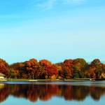 Canvas 0260 50×150 lake view