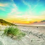 Canvas 0269 80×110 sunset