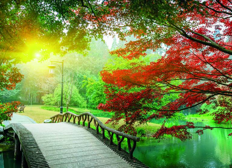 Canvas 0272 80×110