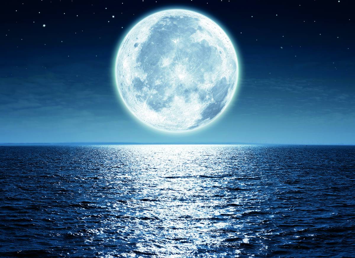 Canvas 0279 80×110 moon