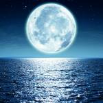 Canvas 0279 80×110 moon