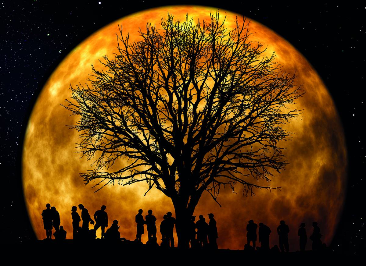 Canvas 0280 80×110 moon 2