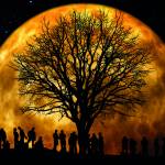 Canvas 0280 80×110 moon 2