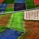 Canvas 0283 80×110 coloured fields