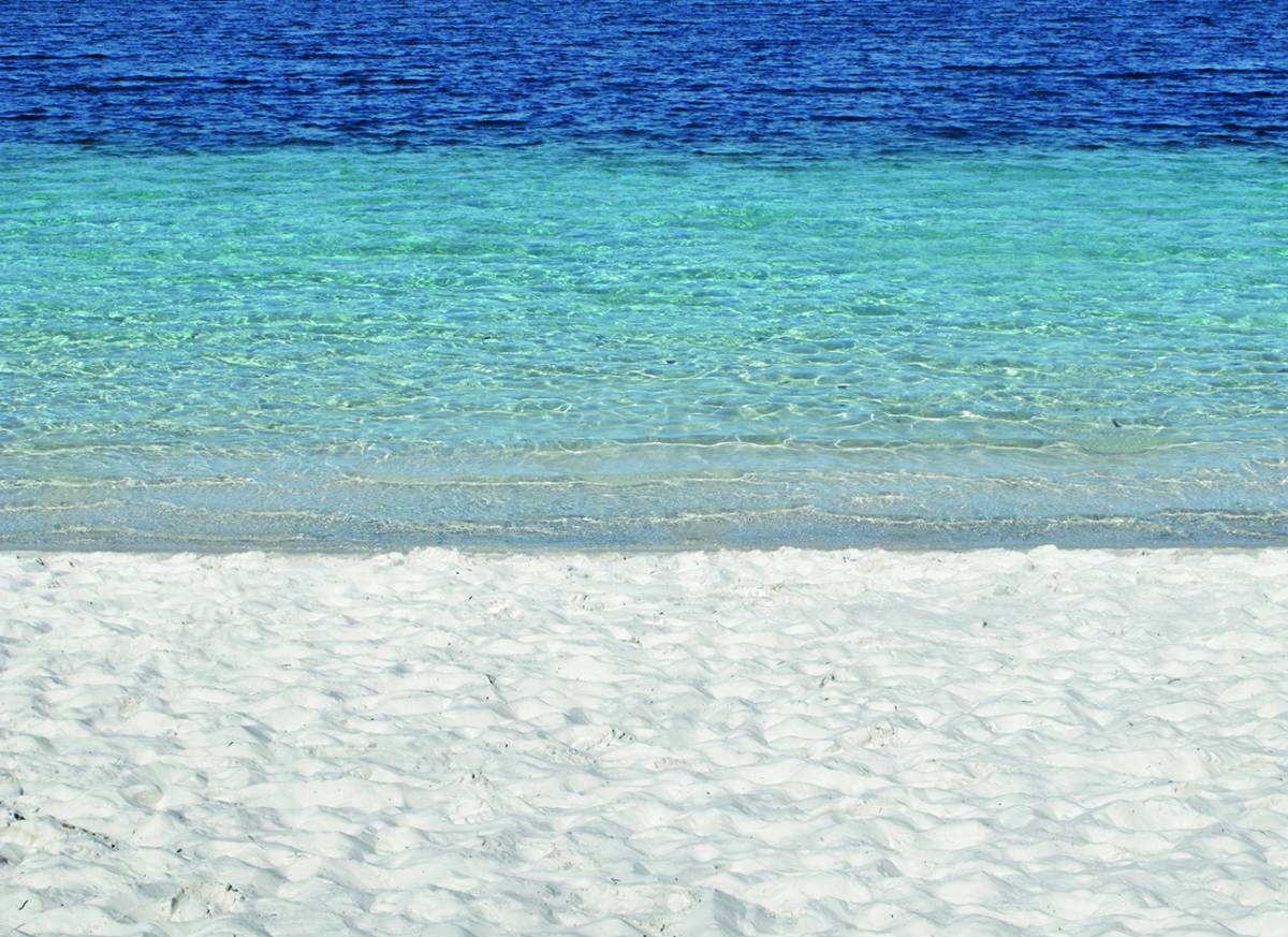 Canvas 0284 80×110 beach