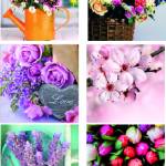 Canvas mixh 6  25×25 flowers