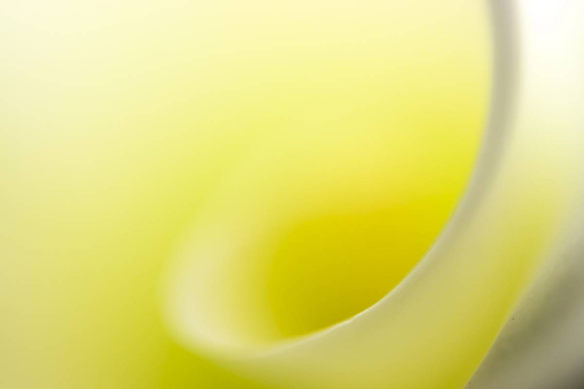 Glossy/aa02 100×150 yellow calla