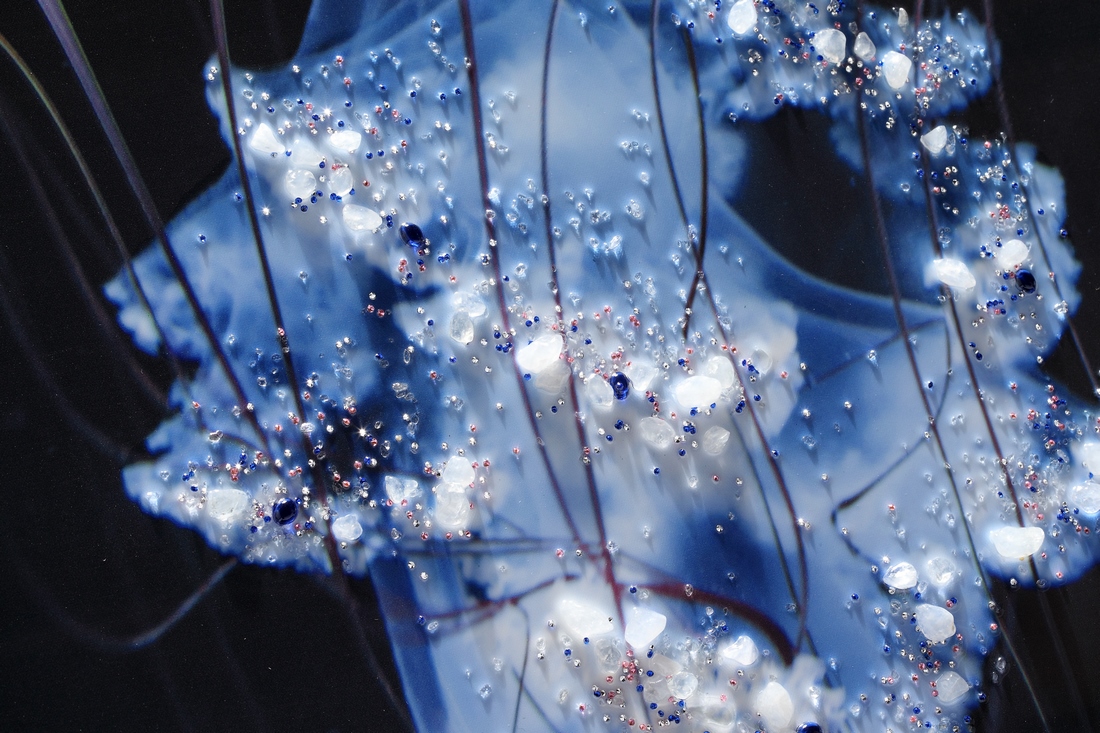 Dipinto art. z554 80×120 elite
