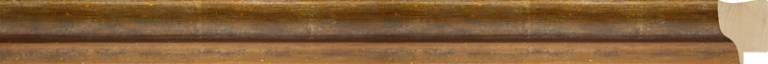Asta 6200/02 delphine