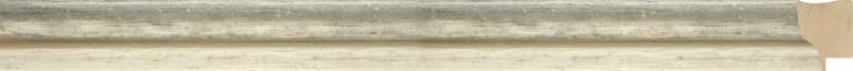 Asta 6200/04 delphine