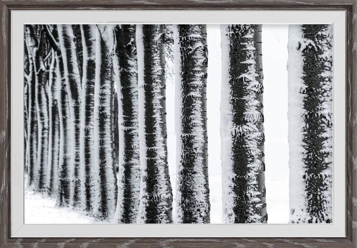 6540/04 20×30 +s/ld07 20×30