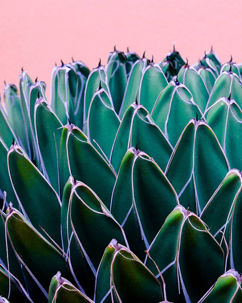 Canvas 0310 40×50