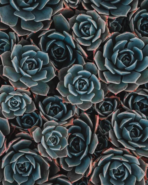 Canvas 0311 40×50