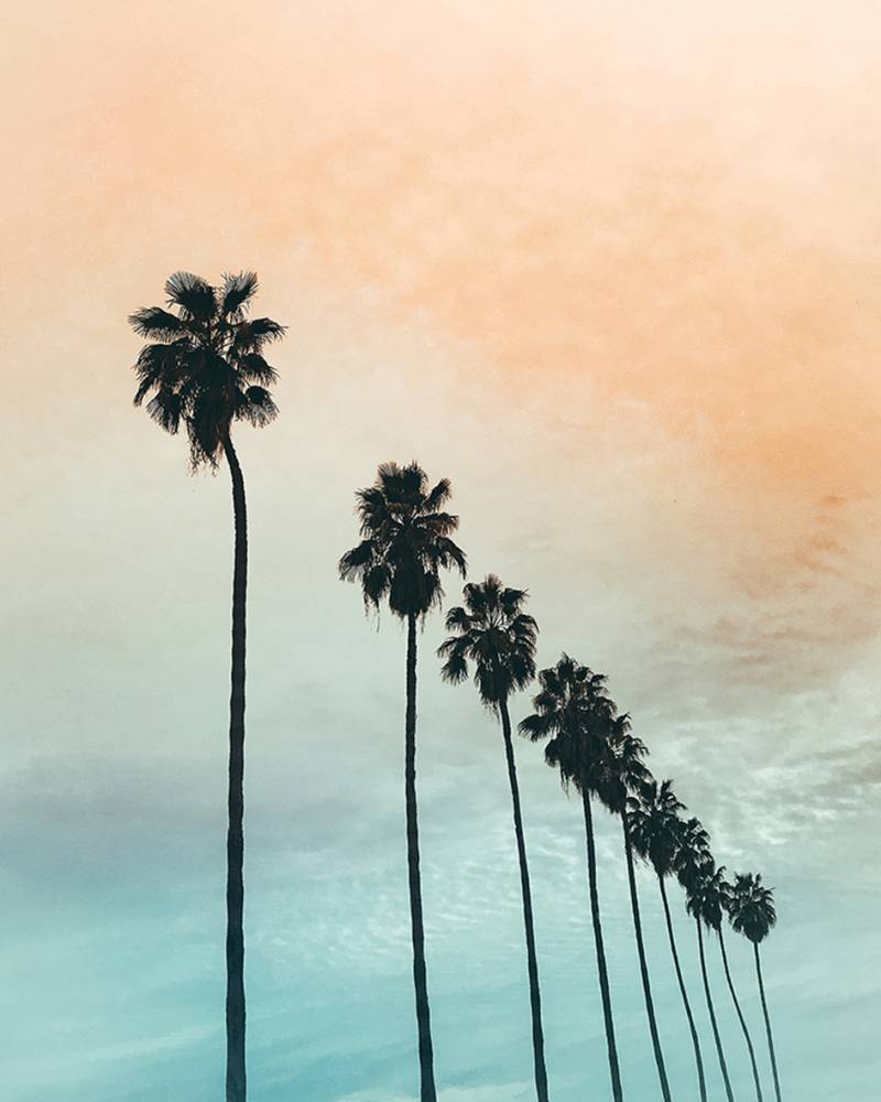 Canvas 0313 40×50