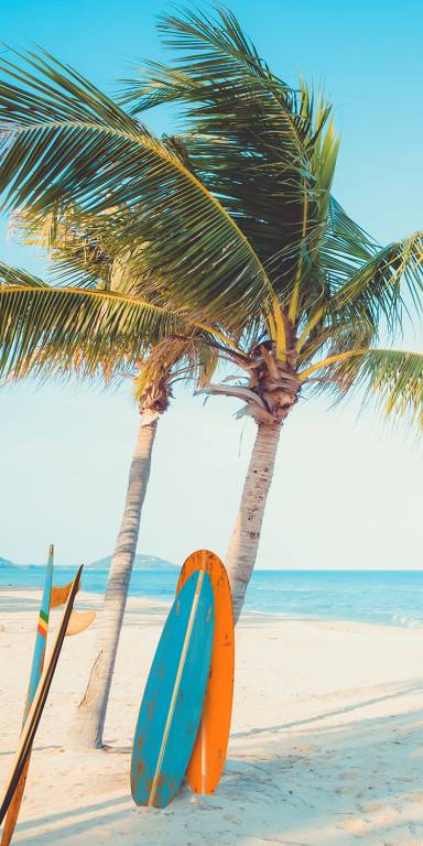 Canvas 0322 40×80