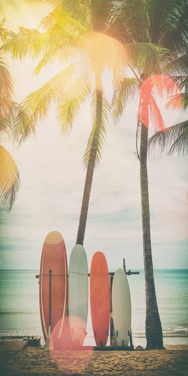 Canvas 0323 40×80