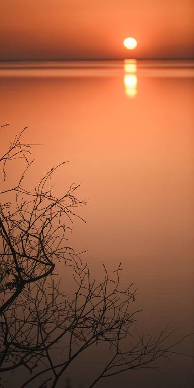 Canvas 0327 40×80