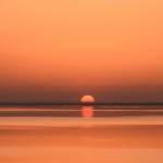 Canvas 0328 40×80