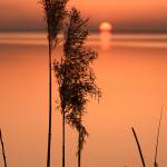 Canvas 0329 40×80