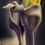 Canvas 0337 40×80