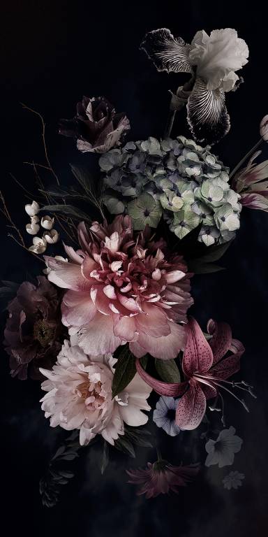 Canvas 0338 40×80